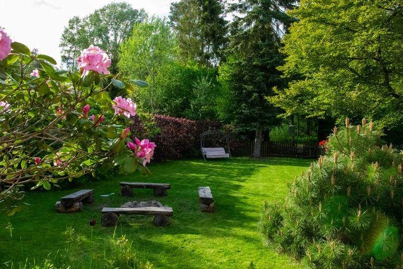 Why Mulching Matters in Every Season