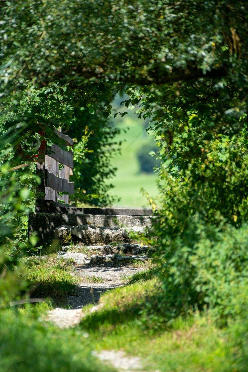 Planning a Low-Maintenance Garden That Still Looks Great