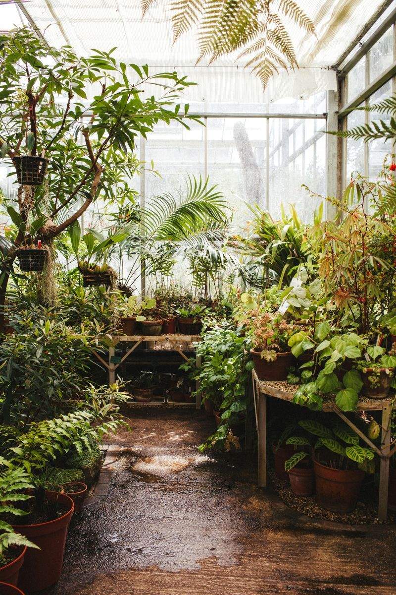 Mulching and soil enrichment