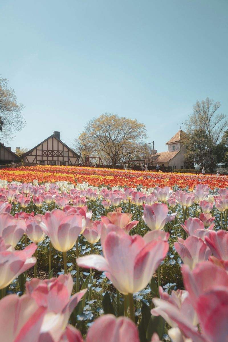 Perennial and annual flower installation